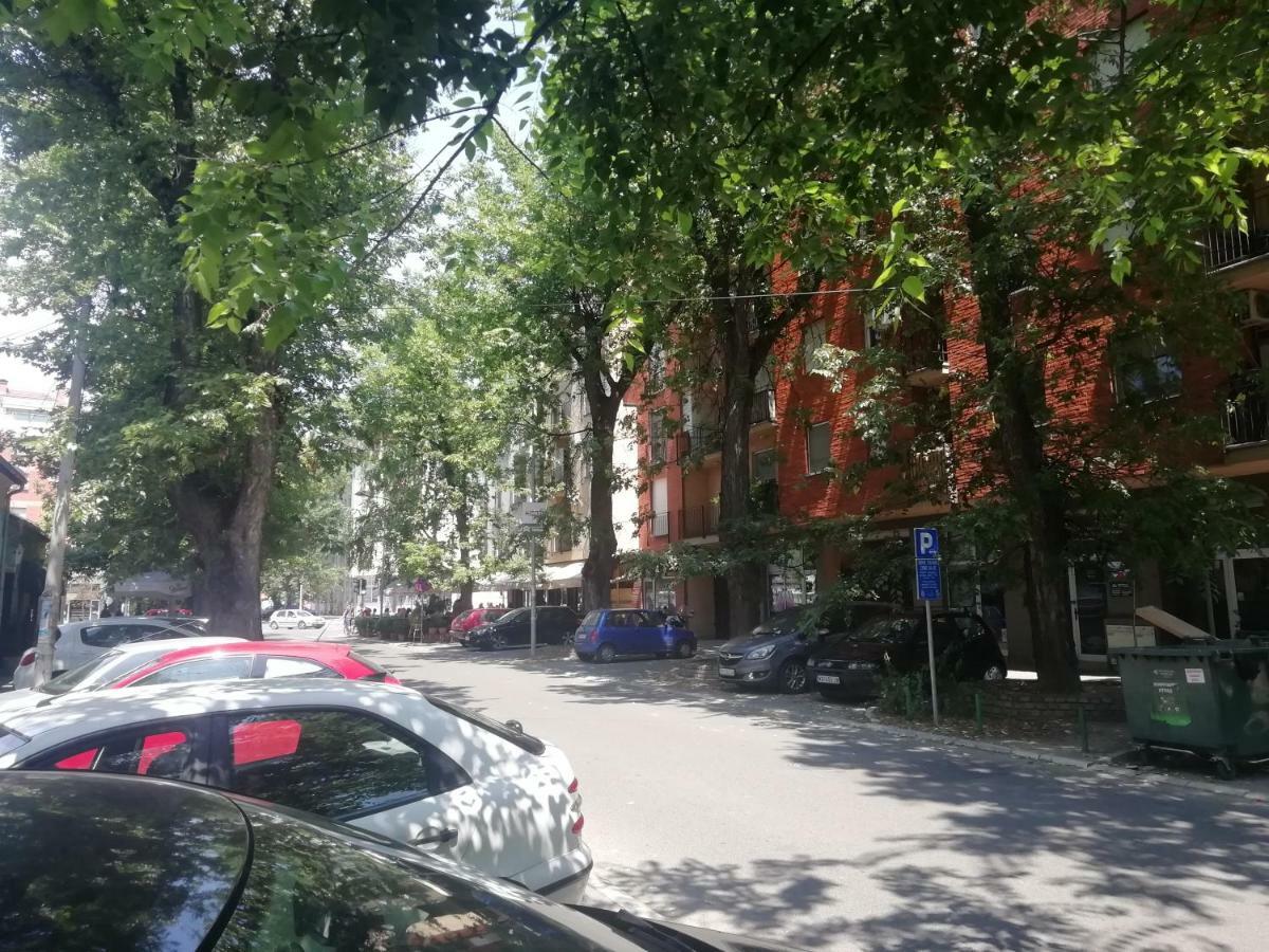 Apartment Two Kings Novi Sad